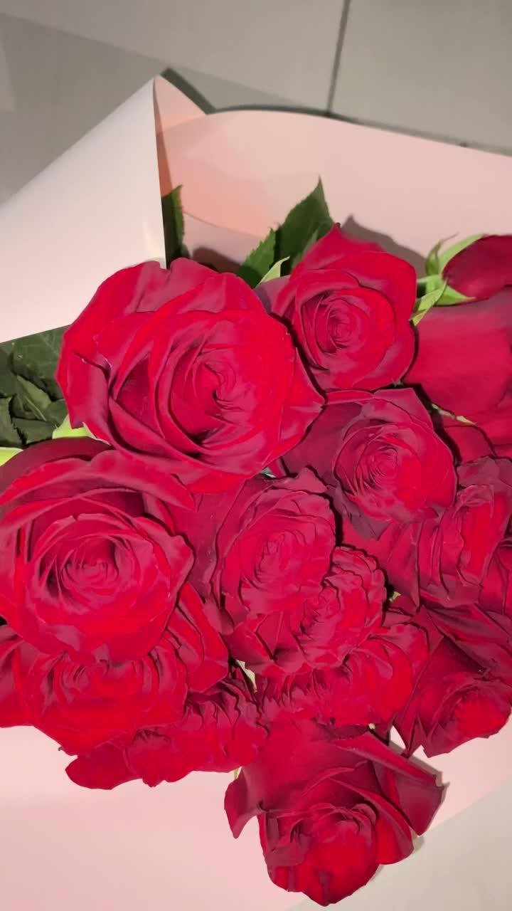 Caring for fresh cut flowers